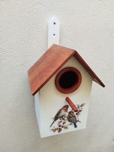 quş yuva: Quş yuvası Sağlam və uzunömürlü ekoloji təmiz . Səliqəli və zövqlü — 15