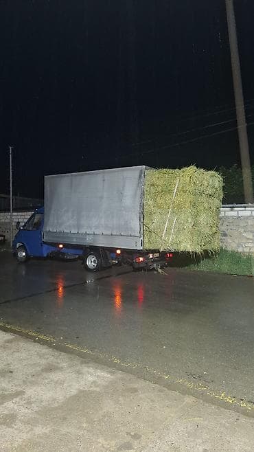 Xidmət: Yükdaşıma – Ford Transit - Avtomobil: Ford Transit - Korpus — 2