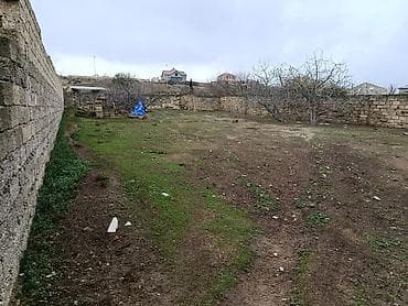 7 sot, Tikinti, Kupça (Çıxarış)