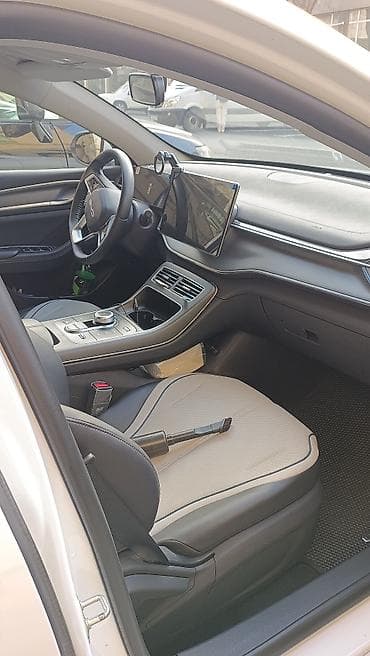 BYD Destroyer 05: 1.5 l | 2025 il 33000 km Sedan — 5