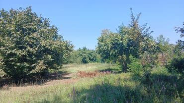 недвижимость в кусарах: 30 sot, Tikinti, Mülkiyyətçi, Kupça (Çıxarış) — 3