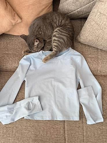 Açıq mavi rəngdə uzunqollu köynək/bluz. 
xs-s razmer — 1