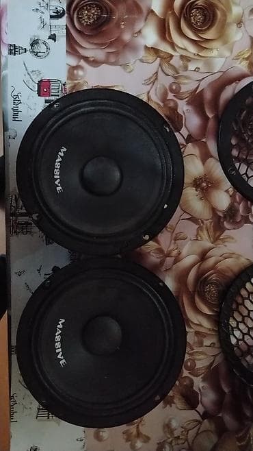 fantom x6: Razılaşma yolu ile Massive M6TX koaksial dinamika dəsti — 3