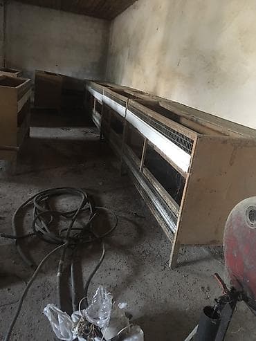 Pişiklər: Bildircin qefesleri var 15ededdir biri 40 awagi yeri olacaq hamisini — 2