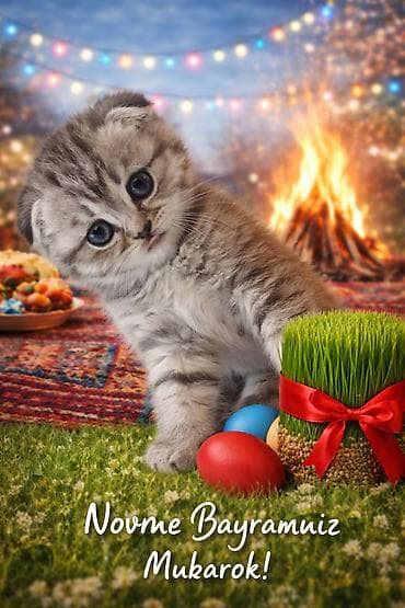 bayram sufreleri: 050 474 17 19 — 1