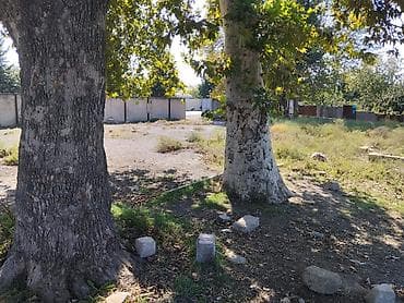 42 sot, Biznes üçün, Maklerlər narahat etməsin, Kupça (Çıxarış) — 3