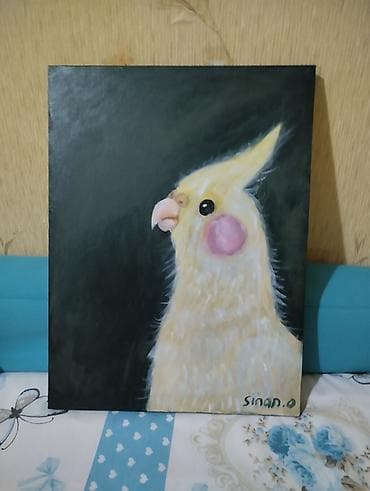 gözel profil sekilleri: Akril tablo – nimfa tutuquşusu portreti ketan tablodan hazırlanıp — 2