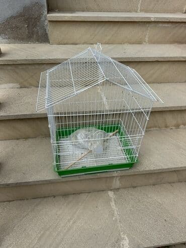 pişik yemek qabı: Quş üçün qəfəs. Su qabı yem qabı və quş üçün orta çubuq var. Qiymət — 3