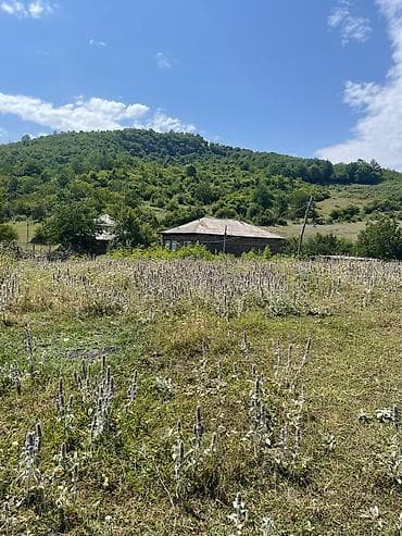 goradilde torpaq: 12 sot, Tikinti, Mülkiyyətçi, Kupça (Çıxarış), Bələdiyyə, Texniki pasport — 2