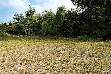 qubada torpag: 237 sot, Kənd təsərrüfatı, Mülkiyyətçi, Kupça (Çıxarış) — 2