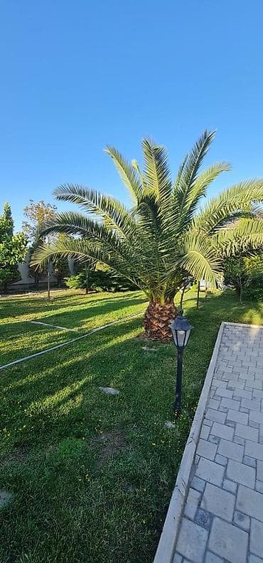 binədə ev: Mərdəkan, 350 kv. m, 7 otaqlı, Hovuzlu — 2