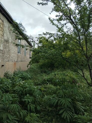 kiraye evlər: Şabran, 120 kv. m, 5 otaqlı, Hovuzsuz, Qaz, İşıq, Su — 8