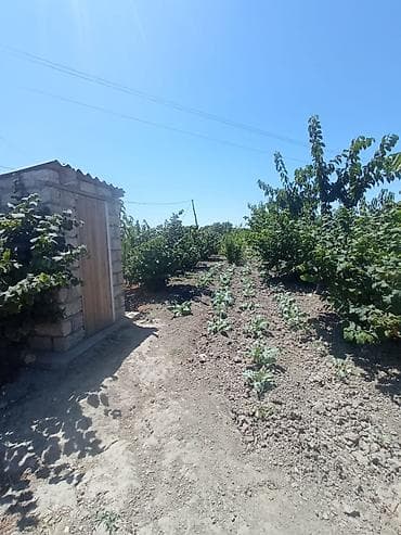 28 may qesebesi: Satışa çıxarılır: həyətyanı sahəsi olan fərdi yaşayış evi - Tikinti — 7