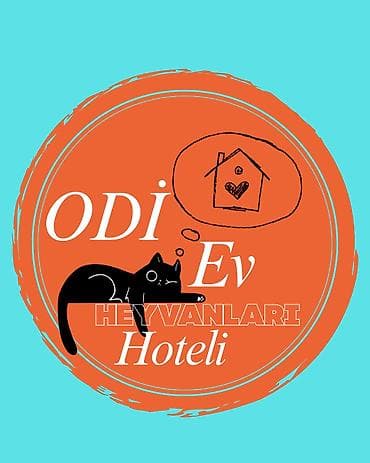 heyvanlar: 🤍Sizin evinizdəki rahatlıq, bizim "Odi Pet Home Hotel"-də! 🐾✨ — 1