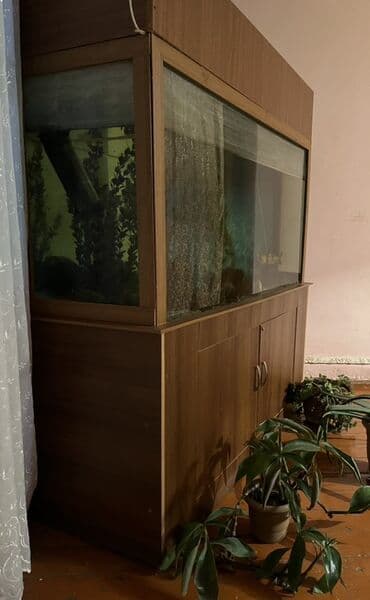 Boyunbağılar: Böyük ölçülü akvarium və şkaf komplekti - Akvariumun üzərində taxta — 1