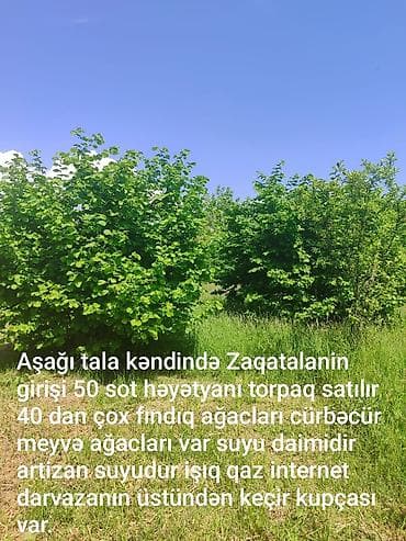 50 sot, Biznes üçün, Mülkiyyətçi, Kupça (Çıxarış) — 1