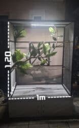 çardaq quşun yuvası: Teraryum qus qefesi. Eni 60sm - Uzunlug 1m - Hindurluk 1.20 m. altinda — 1