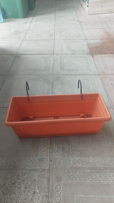 dipçək satışı: Dipçekler gül qabilar 30 sm 50 sm 70 sm 75 sm 85 sm 90 sm olculer var — 15