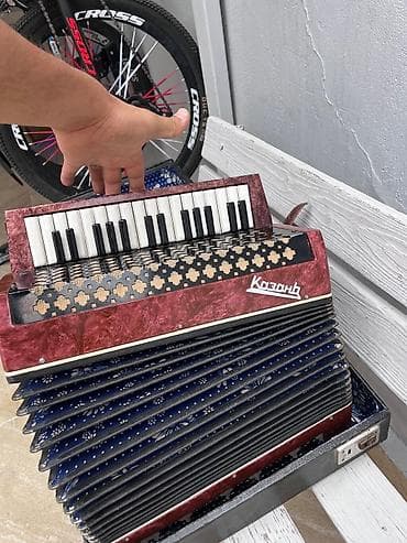 beqavoy satisi: Akustik Akkordeon, İşlənmiş — 3