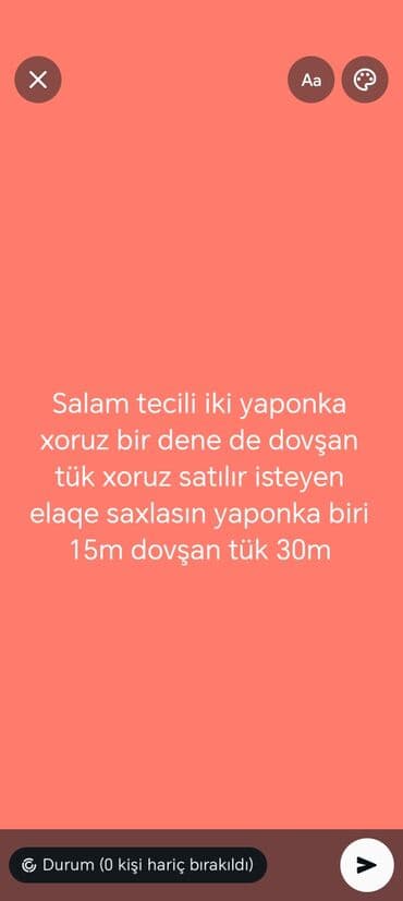 pisiklerin satisi: Məhsul: xoruzlar - 2 ədəd yaponka xoruz satışda. - 1 ədəd dovşan tük — 1