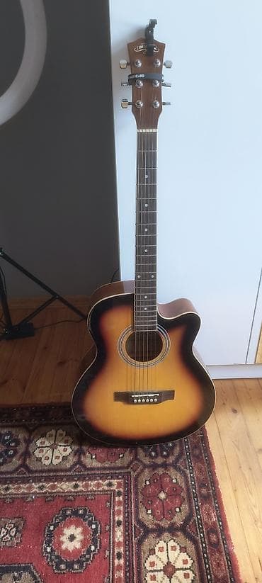 gitara akustik: Akustik gitara, 6 sim — 1