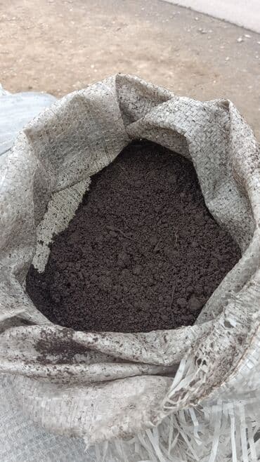 1 eded qizil gul qiymeti: Torf gubresinn satişi torf balaken 2.50 300den cox alana catrlma — 13