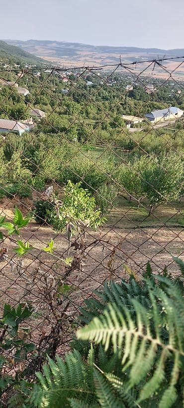 quba 5 sotlar: 20 sot, Tikinti, Makler, Bələdiyyə — 2