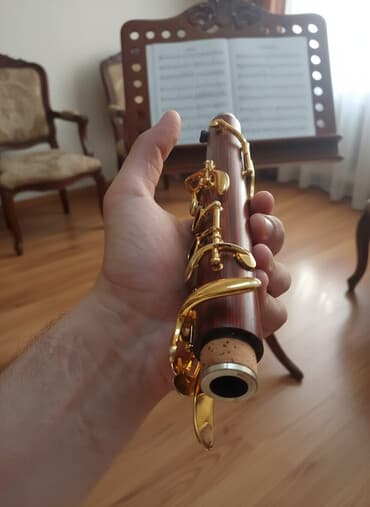 Sol Klarnet aqac ela vəziyyətdədi kökləri duz baconkasi 1 denedi