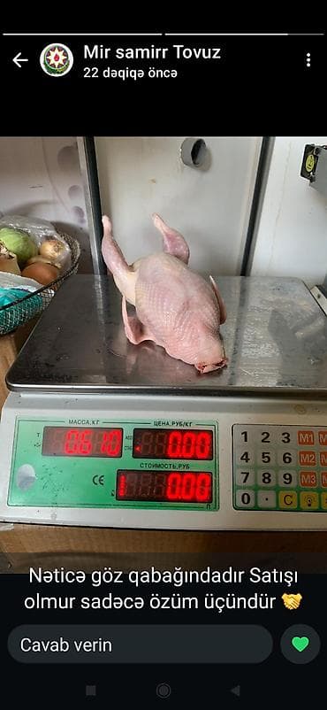 çin aslani: Məhsul: Bildircin və bildircin məhsulları - Cins: Yumurtacı və ətlik — 7