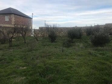 сайты недвижимости в азербайджане: 30 sot, Makler, Kupça (Çıxarış) — 8