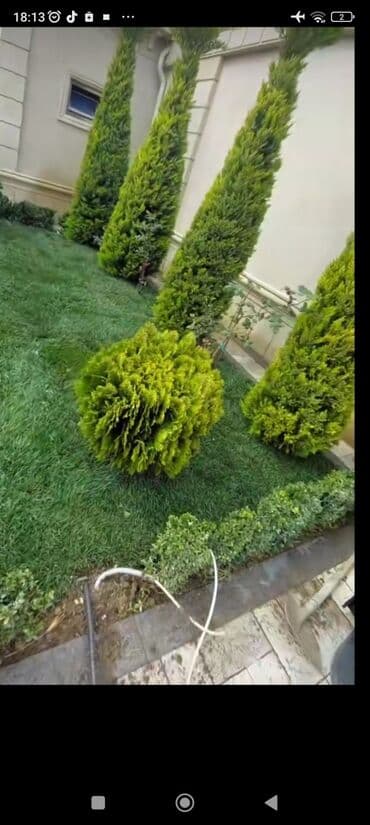 ağ dırnaq modelleri: Landşaft dizayin ummi abadliq qazon agaclar gul ciceklerlə bağlarin — 7