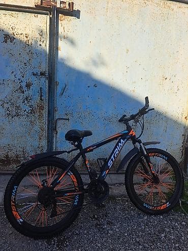 velsopet 24: STRIM X-500 dağ velosipedi - Çərçivə: yüngül alaşımlı polad, idman — 8