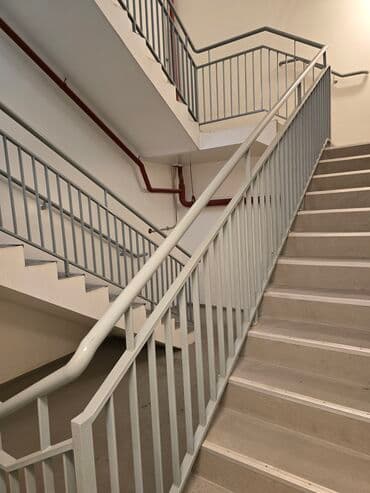 ev dam örtükləri: Hər növ məhəccər qoruqluq perilla — 4