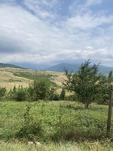 bulbulə torpaq: 15 sot, Tikinti — 8