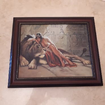 Mücrülər: Şəkillər, tablolar — 1