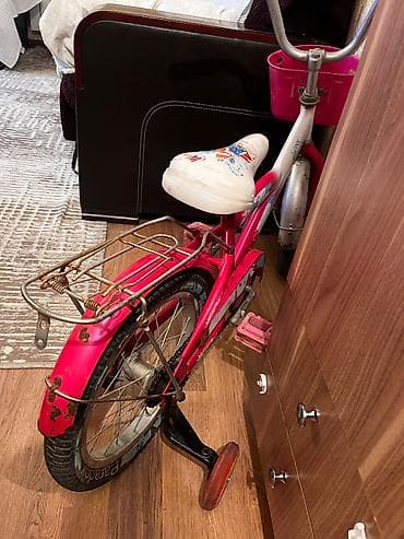 velesiped: Velosiped her bir detalı işləyir. Sadəcə kraskalamaq lazımdır — 3