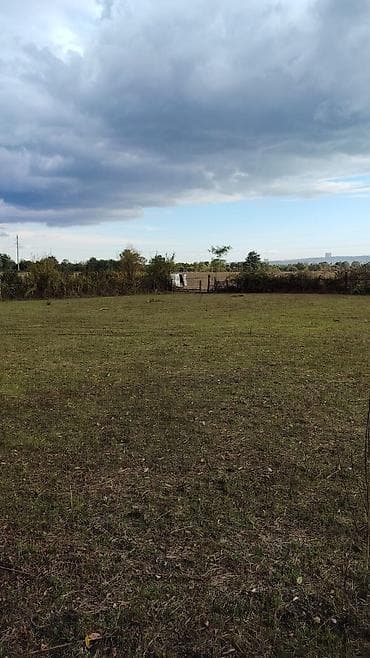 Mənzillər: Kənd təsərrüfatı — 3