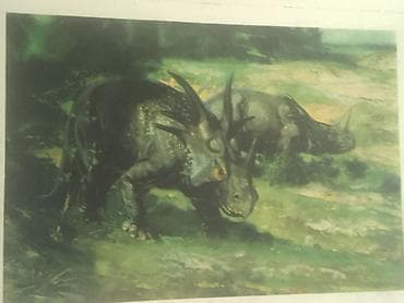 cipsi sekilleri: Məhsul: Dinozavr mövzusunda vintage illüstrasiya çapları dəsti — 4