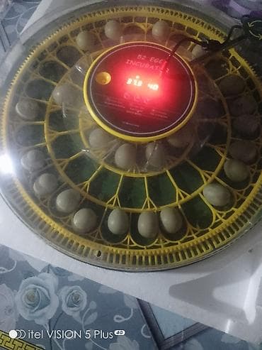 Biznes üçün avadanlıq: 50 yumurta, Tam avtomat — 1