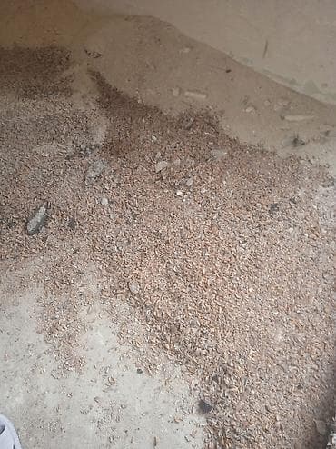 soba: Məhsul: Günəbaxan tumu qabığı (təbii biokütlə) Təsvir: - Təmizlənmiş — 1