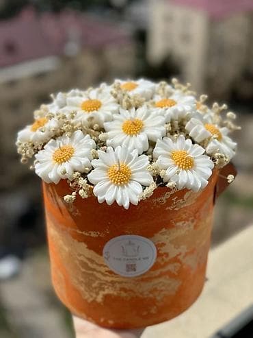 Şam Fiqurlu, Soya mumu — 3
