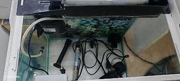 baliqlar: Akvaryum dəsti – tam komplekt Tərkib: - Şüşə akvaryum (üst qapaqla — 5