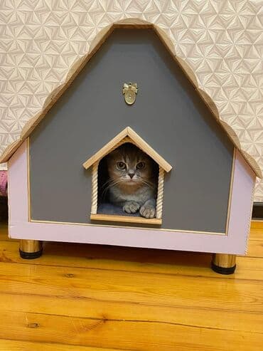домики для кошек баку: Pişik üçün ev.el işleridi.muxtelif razmerler.ve hər cür rengler — 4