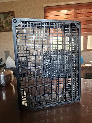 yemək ucun termos: Plastik yeşik 30x40x14 ölçülərində( əsasən gilas üçün) — 4