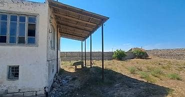 mastaga ev: Kupça (Çıxarış) — 6