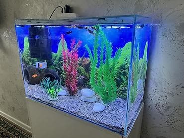Dördbucaq akvarium, Balıqlarla birlikdə, 90 l, Ödənişli çatdırılma