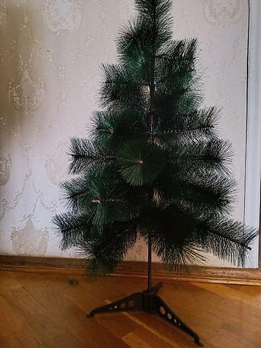 Gözəl Keyfiyyətli Yarpaqları çıxmayan çox möhkəm yolka hündürlükdə