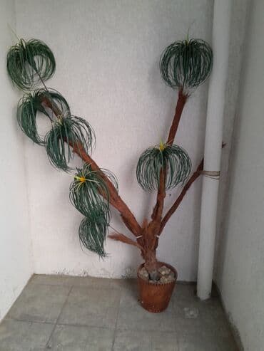 süni ağac: Ev üçün dekor "Palma" ağacı — 1