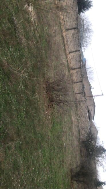 mərdəkanda torpaq: 13 sot, Tikinti, Makler, Kupça (Çıxarış) — 3