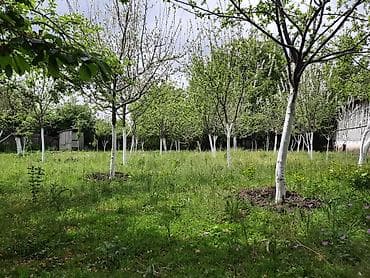 lehis baglari torpaq satilir: 12 sot, Tikinti, Mülkiyyətçi, Kupça (Çıxarış) — 1